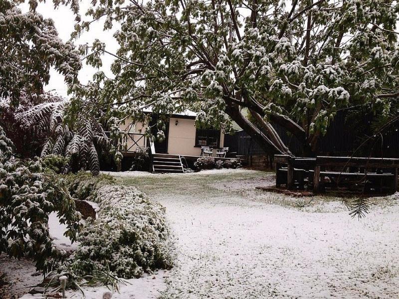 Hills Havens Cottages Leura Dış mekan fotoğraf