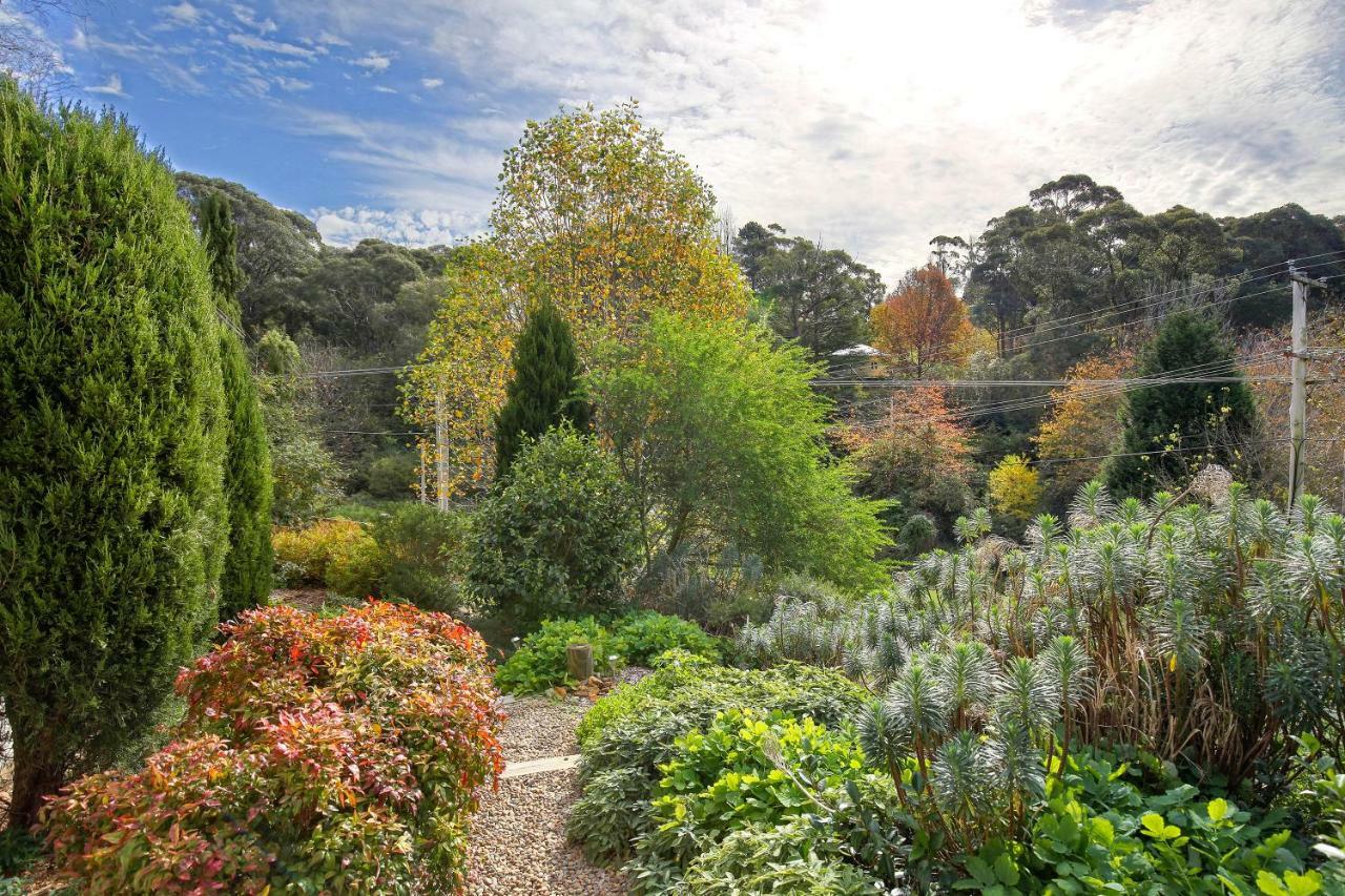 Hills Havens Cottages Leura Dış mekan fotoğraf